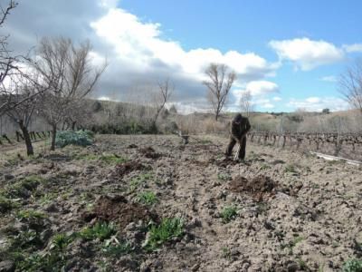 Ya hay fecha para pedir las ayudas directas de la PAC