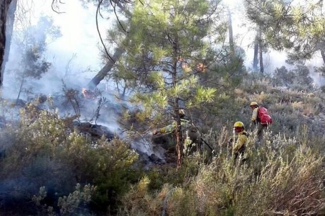 Controlado el incendio forestal declarado en Paterna del Madera