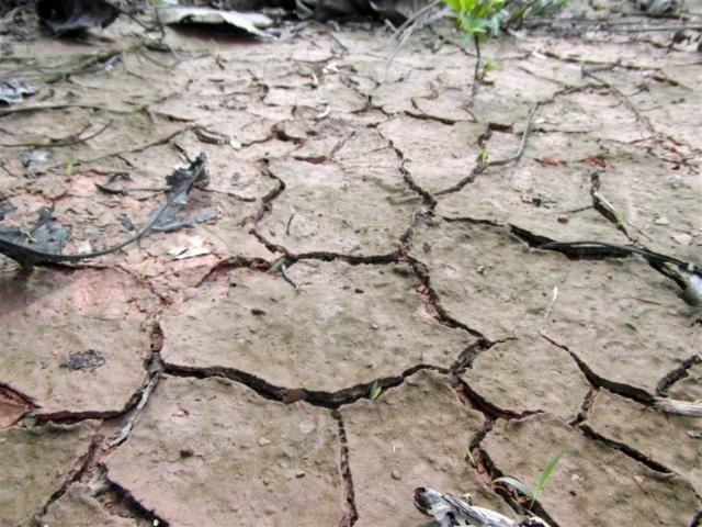 Cambio climático: los veranos duran cinco semanas más que a principios de los 80