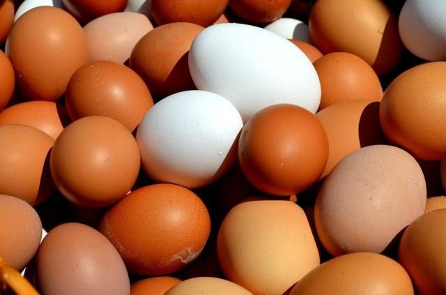 Castilla-La Mancha lidera la producción nacional de huevos