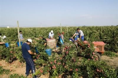 El Gobierno central intensificará las inspeccionespara que se cumpla la ley en las campañas agrícolas de CLM