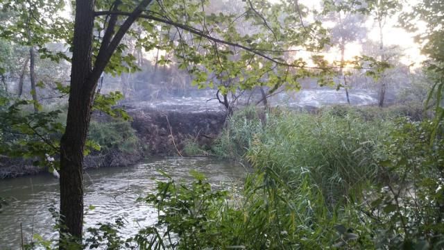 Extinguido el fuego registrado detrás de la Fábrica de Armas en Toledo