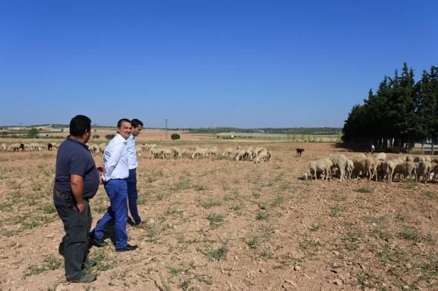 CLM abona 6,7 millones de euros para mejorar las explotaciones de agricultores y ganaderos