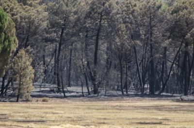 Controlado el incendio de Barchín del Hoyo