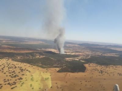 Controlado el incendio forestal de Luciana