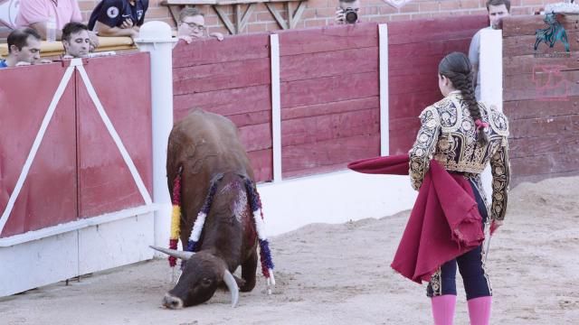 PLATAFORMA LA TORTURA NO ES CULTURA