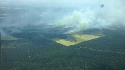 El Ministerio ayudará a reforestar las zonas afectadas por el incendio en Barchín del Hoyo