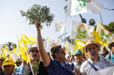 Olivareros de CLM reclaman en Madrid mecanismos para paliar la "crisis tremenda" del sector