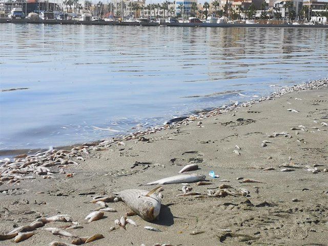 Mar Menor ( Murcia)