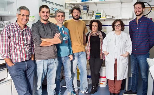 El Hospital de Parapléjicos y Universidad de Valladolid realizan tecnología en biomateriales para lesión medular