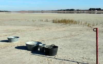 Villafranca de los Caballeros convoca el día 9 una cadena humana en defensa del agua y de todos los humedales manchegos