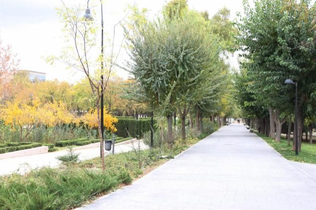 Toledo cierra los parques por la previsión de fuertes rachas de viento