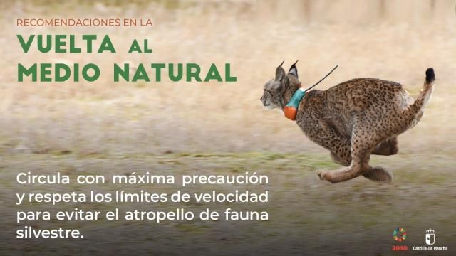 FASE 1 | Consejos para salir al medio natural en CLM