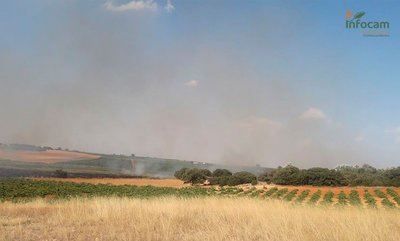 SOCUÉLLAMOS | Extinguido el fuego declarado este domingo