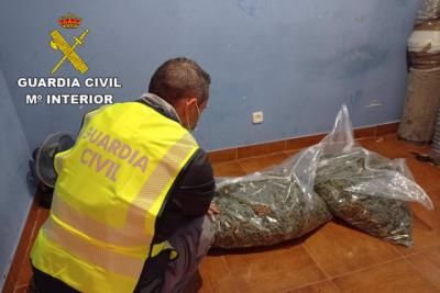 EL CASAR | 14 detenidos por robo con violencia y cultivo de marihuana