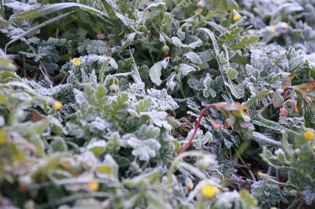 EL TIEMPO | Una localidad de CLM despierta con la temperatura más baja del país