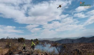 Descienden los incendios forestales en Castilla-La Mancha