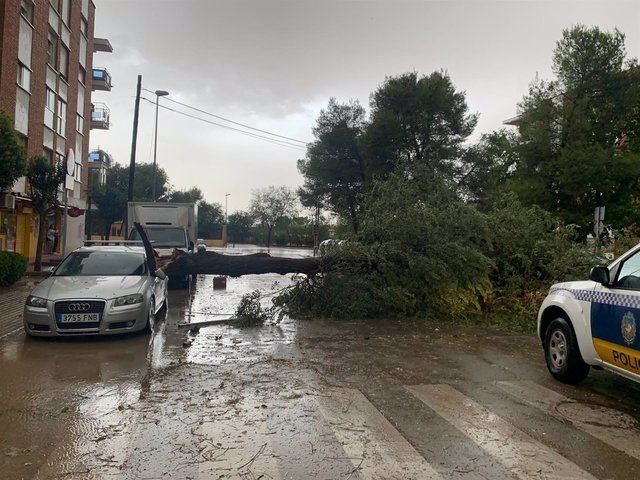 Daños provocados por la tormenta caída en Alcázar. - AYUNTAMIENTO