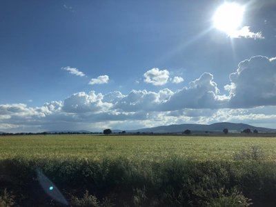 El programa 'El Campo' estrena temporada este lunes en CLM