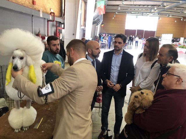 Los responsables del PP de Talavera visitando la Exposición Canina de este fin de semana en Talavera