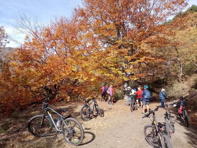 Más de 40 actividades permitirán disfrutar del otoño en CLM a través de 'Vive tu Espacio'