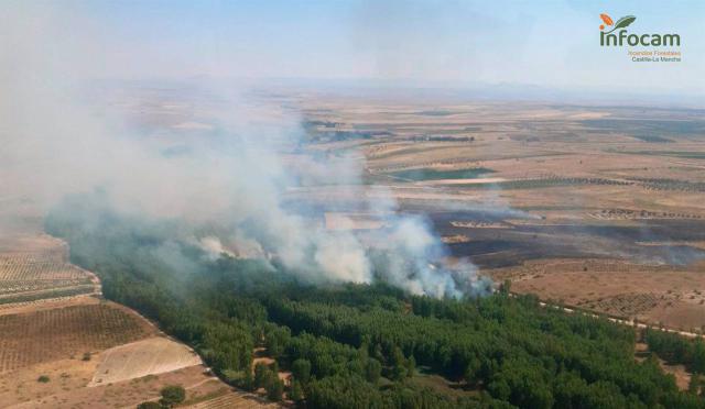 Emergencia en Fuensalida: 32 personas luchan contra el fuego