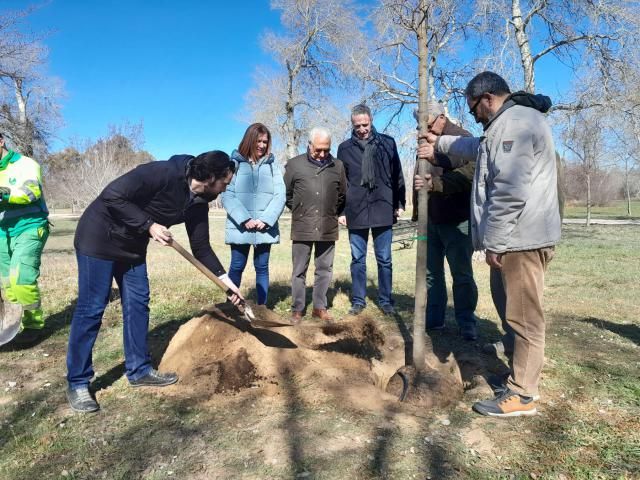 Talavera lleva plantados más de 1.300 ejemplares con el plan de arbolado