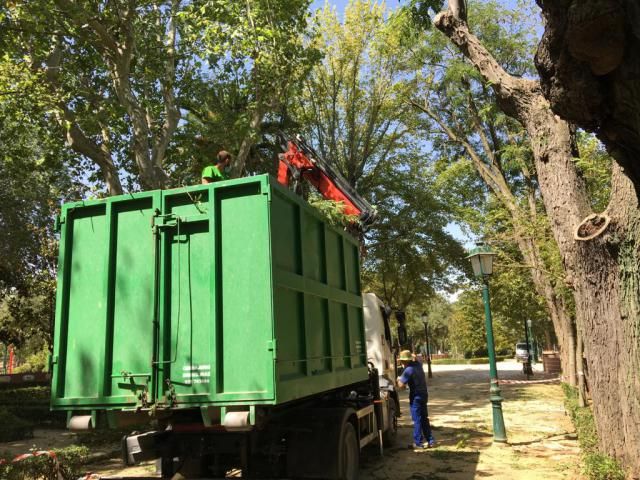 TALAVERA | Poda preventiva en los Jardines del Prado 