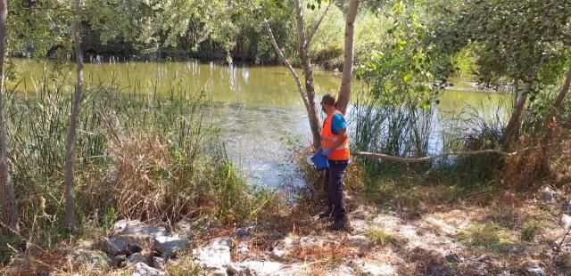 TALAVERA | El Ayuntamiento intensifica la lucha contra los mosquitos