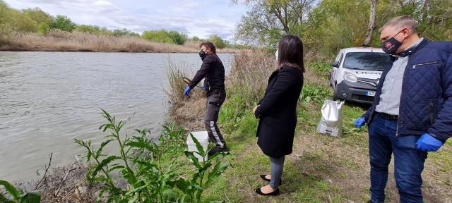 Talavera adelanta el inicio de los tratamientos para minimizar el problema de mosquitos