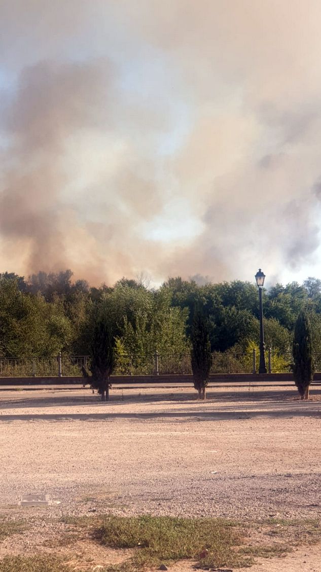 Nuevo incendio en una isla del río Tajo a su paso por Talavera