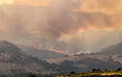 Extinguido el incendio de Valdepeñas de la Sierra 