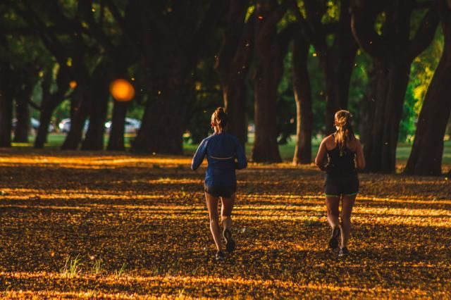 SALUD | La actividad física por la mañana puede tener más beneficios contra el cáncer