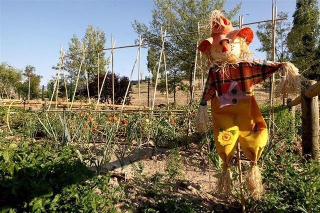 El colegio Clemente Palencia inaugura su proyecto de huerto urbano 'Cultivando vidas'