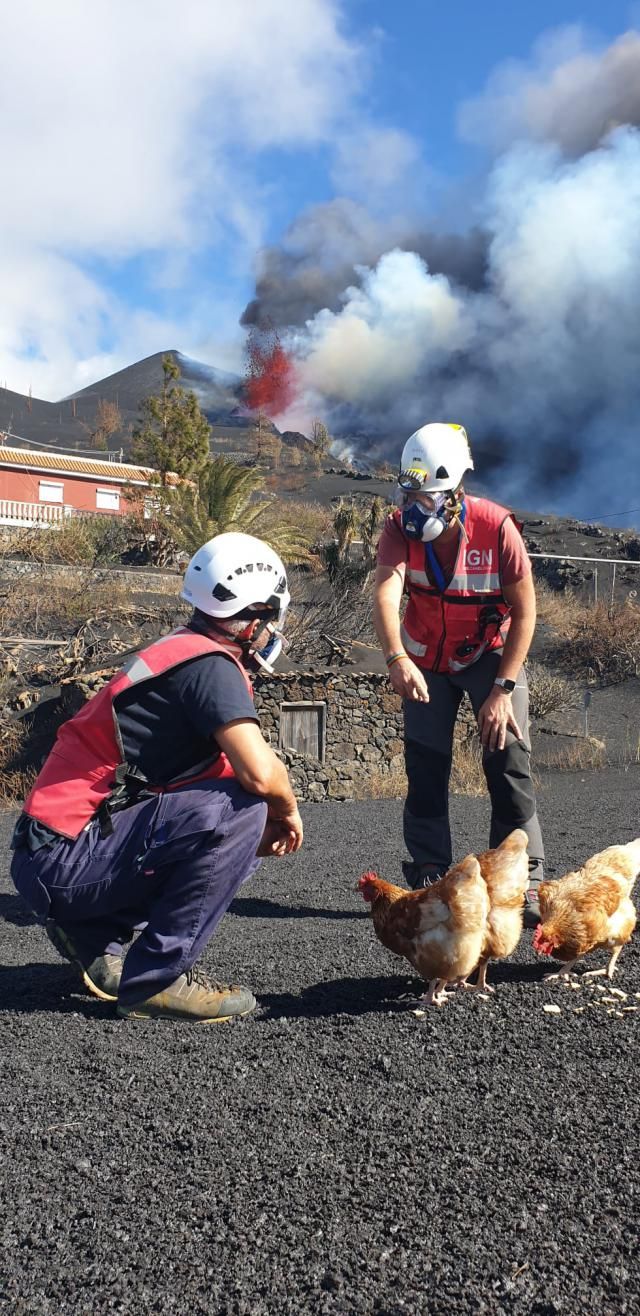 Las bonitas imágenes del geólogo talaverano Rubén López en La Palma