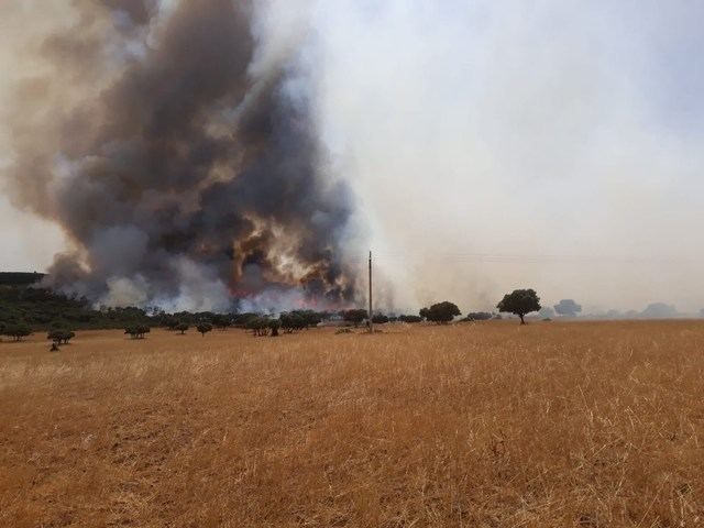 El número de incendios forestales en CLM se ha reducido un 35%