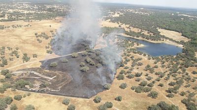 CALZADA DE OROPESA | Medios aéreos y terrestres trabajan en la extinción de un incendio