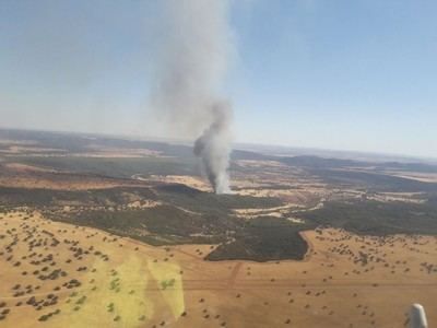 Declarado un incendio forestal en Luciana