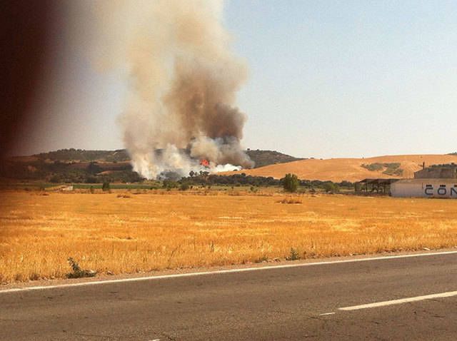 Imagen del incendio que se produjo en la N-502 al mediodía del pasado 2 de agosto.