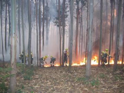 INCENDIOS | El Gobierno apoyará a las comunidades con 73 medios áereos y 2.900 efectivos de la UME