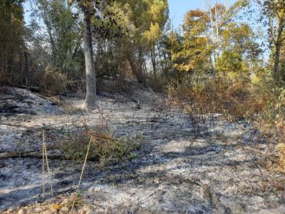 Así ha quedado el terreno quemado junto a la presa de Cazalegas