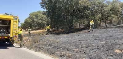 Extinguido un nuevo incendio forestal en Cazalegas (fotos)