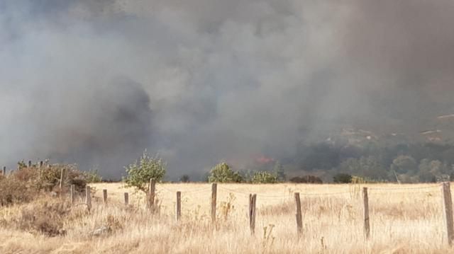 Declarado un incendio en El Raso (Candeleda)