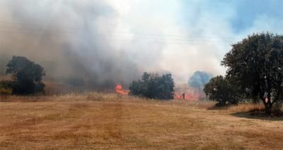 Así se vio el incendio de Cazalegas desde el aire