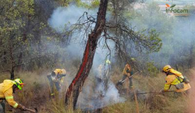 Luchan contra el fuego en un pueblo de Toledo: ya ha quemado 10 hectáreas