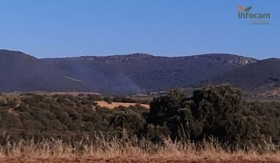 Declarado un incendio en Espinoso del Rey (Toledo)