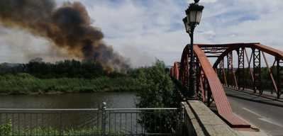 Declarado un incendio en una isla del río Tajo en Talavera