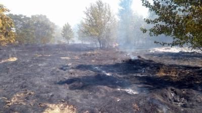 A las 21:05 se ha extinguido el fuego de la isla del Tajo