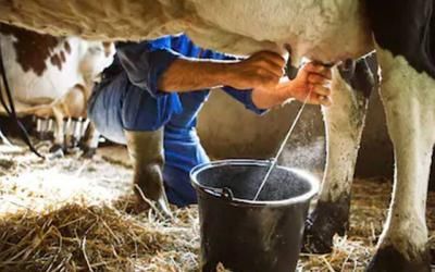 Cortes de tráfico en Talavera “por un precio justo de la leche”