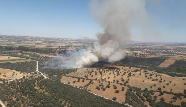 Incendio en Malpica de Tajo